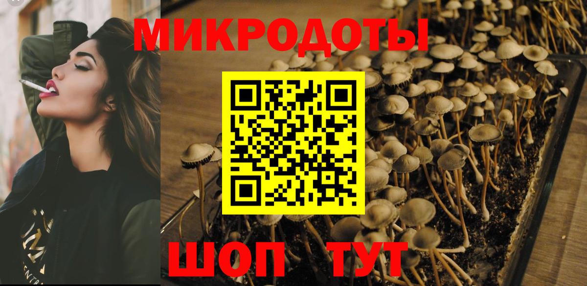 Галлюциногенные грибы Cubensis  Вход с VPN  Дубна  Псилоцибиновые грибы Psilocybe 