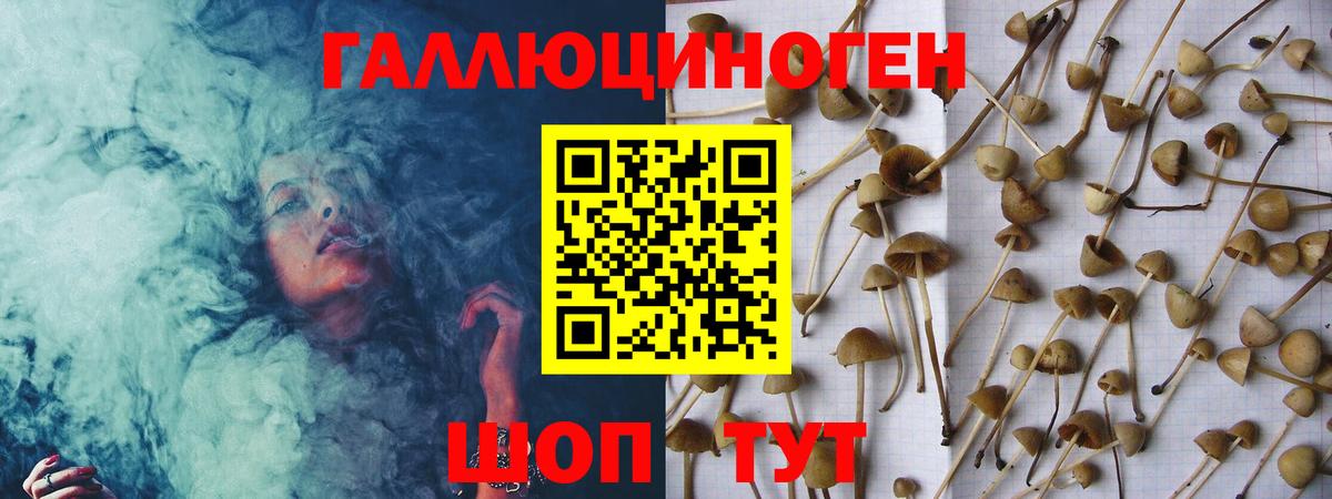 Галлюциногенные грибы MAGIC MUSHROOMS Дубна